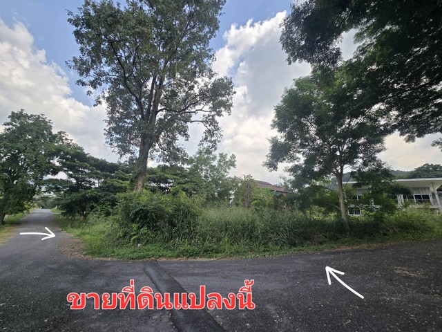 ขายที่ดิน 289.9 ตร.ว ม.ภูภัทรา ปากช่อง เขาใหญ่ แปลงมุม ติดถนน 2 ด