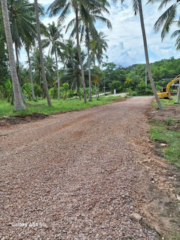 ซื้อขายบ้านที่ดินเจ้าของขายเอง ขายที่สวย ใกล้หาดสะพลี วาละ12000