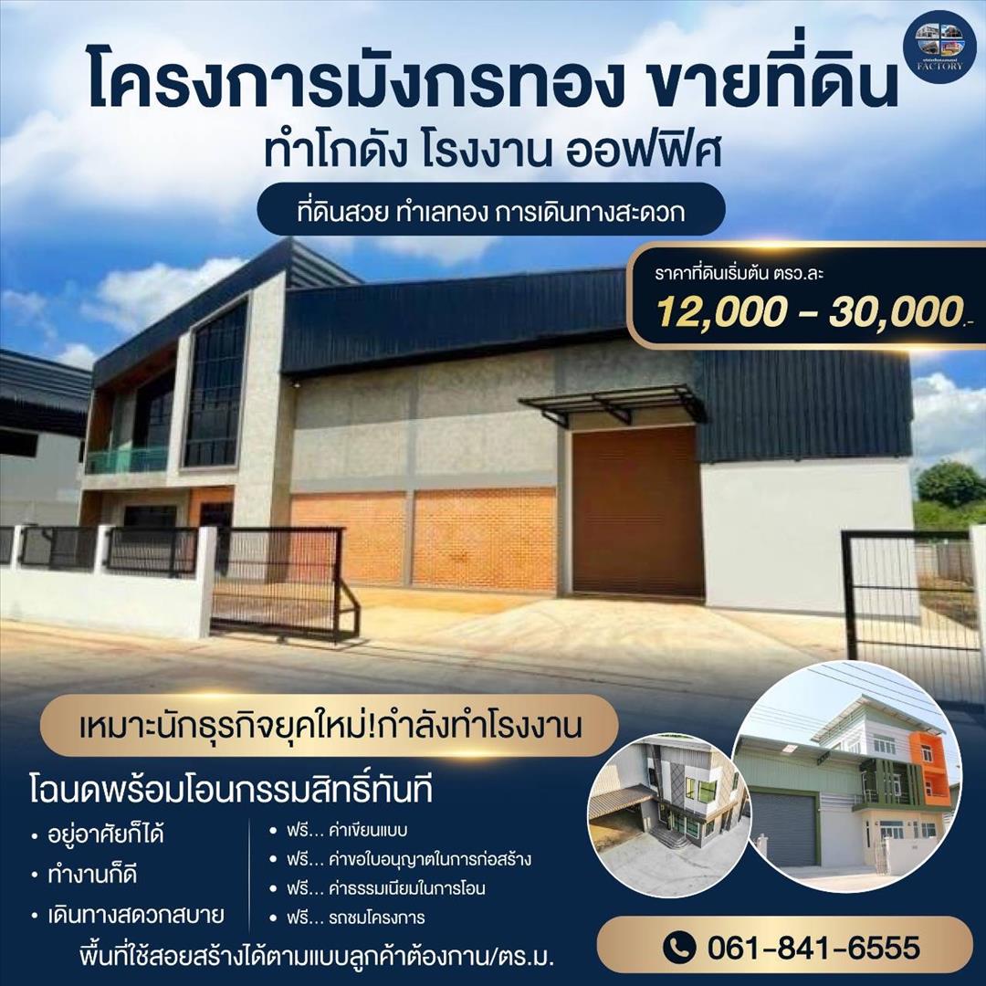 โครงการมังกรทอง