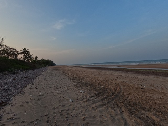 ทรัพย์น่าลงทุนรับคริสต์มาสนี้ หาดฝั่งแดง ไร่ล่ะ3.5 ล้านบาท 