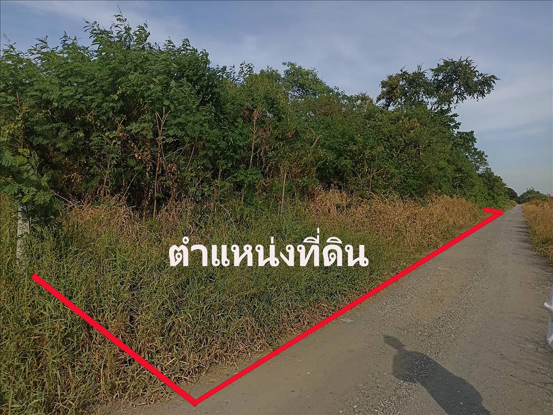 ขายที่ดิน 1 ไร่ ซ.หทัยราษฎร์ 34 คลองสามวา กทม.