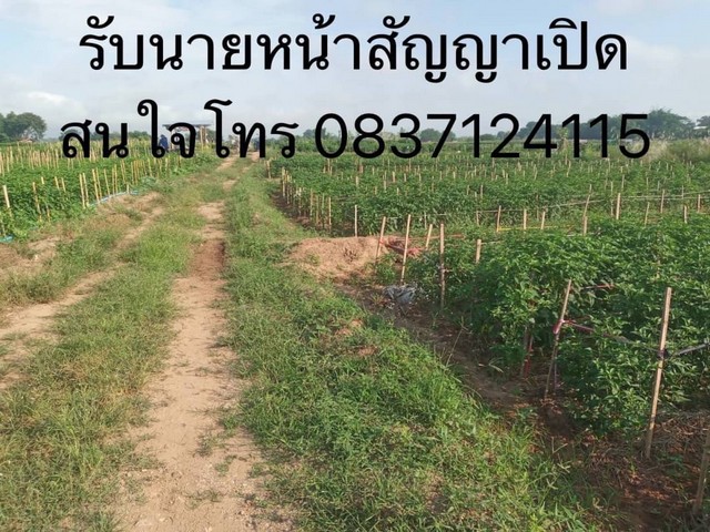 เริ่มศักราชใหม่  ขายที่สวยติดแม่น้ำน่าน อ.ท่าวังผา จ.น่าน 0968821