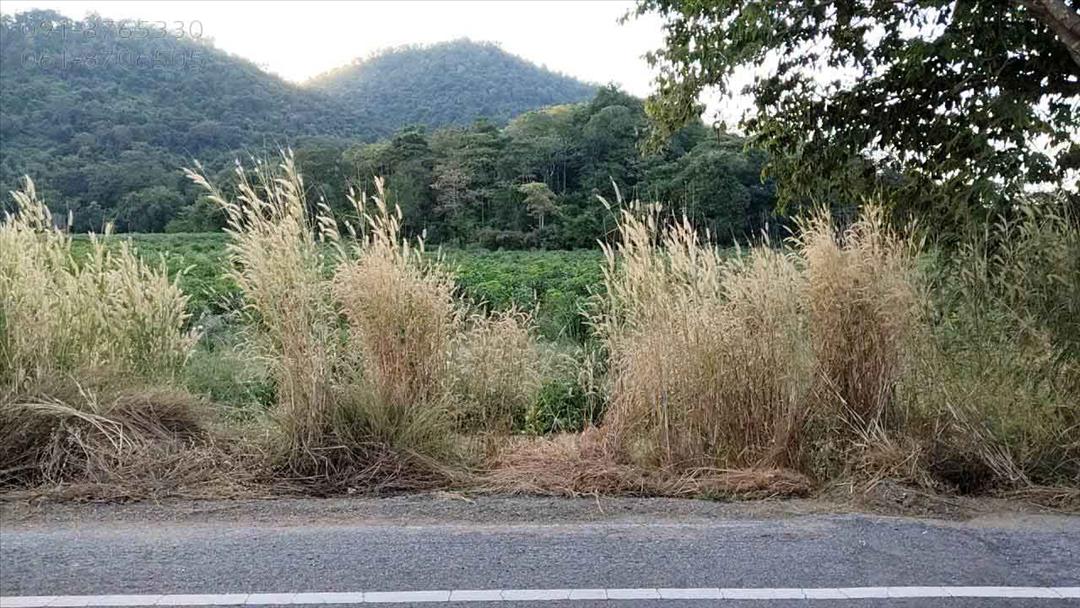 ขายที่ดิน บ้านไร่ อุทัยธานี 50ไร่ ติดภูเขา วิวเขาสวย เหมาะปลูกบ้าน ทำสวน น้ำไม่ท่วม มีต้นไม้เยอะ ขาย