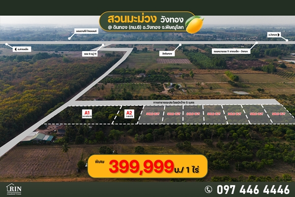 ขายที่ดิน วิวเขาวังทอง กม.6 เนื้อที่ 400 ตารางวา  399,999 บาท พร้อมสวนมะม่วง ต.ดินทอง อ.วังทอง จ.พิษ