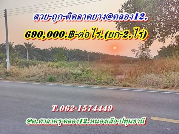 ที่ดินสวยถูก ทำเลดี ติดลาดยาง ที่คลอง12 หนองเสือ จ.ปทุมธานี T.062-1574449