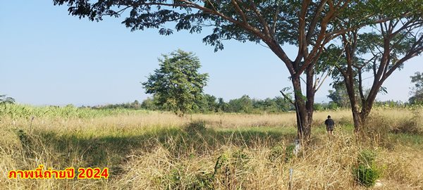 ขายที่ดิน 2ไร่ สวย ทรงสีเหลี่ยมผืนผ้า ใกล้แม่น้ำแควน้อย อยู่บ้านท่ามะเดื่อ หมู่2 จ.กาญจนบุรี