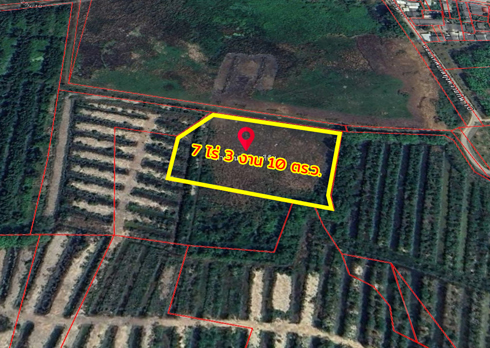 ขายที่ดิน ถนนสุขุมวิท ต.ทุ่งควายกิน อ.แกลง จ.ระยอง