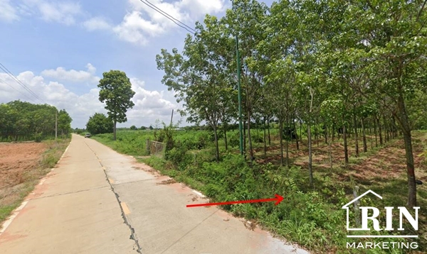 ขายที่ดิน สวนยางพารา 38ไร่กว่า  อำเภอเมือง ขอนแก่น