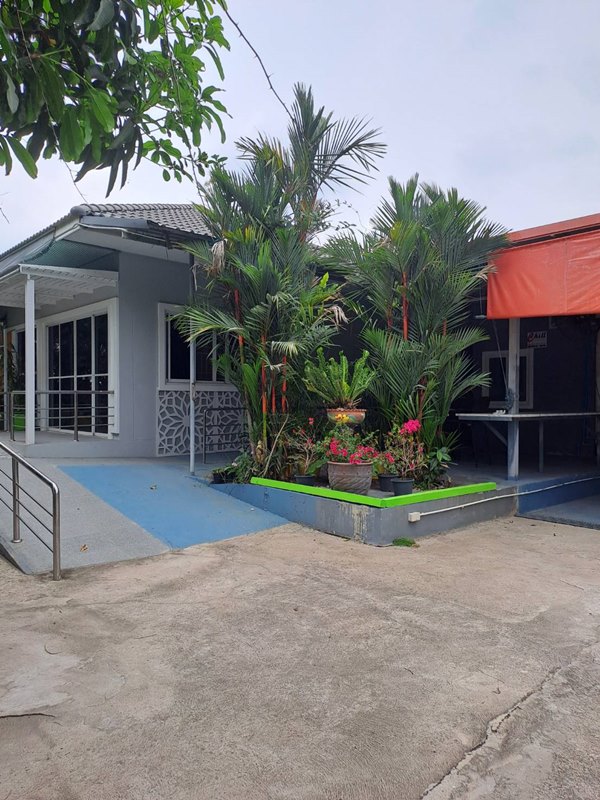 ขายบ้านเดี่ยว 1 ชั้น หมู่บ้านหนองสรวง อ.ศรีประจันต์ สุพรรณบุรี ใกล้โรงเรียน โรงพยาบาล ตลาด