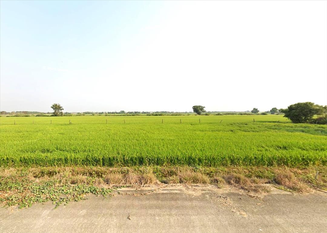 ขายและให้เช่าที่ดิน 1-2-30.0 ไร่ ตำบลคลองสี่ คลองหลวง ปทุมธานี