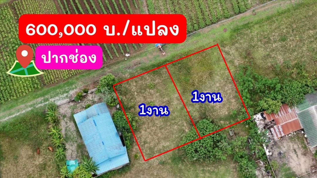 ขายที่ดินหลังสถานีรถไฟความเร็วสูงปากช่อง   บ.เขาเสด็จ / ท่างอย  