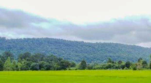 ขายที่ดินแปลงใหม่ วิวเขาสวยที่สุด......ใกล้ถนนลาดยางชุมชนตรงข้ามมีร้านของชำและตลาดตอนเย็น.