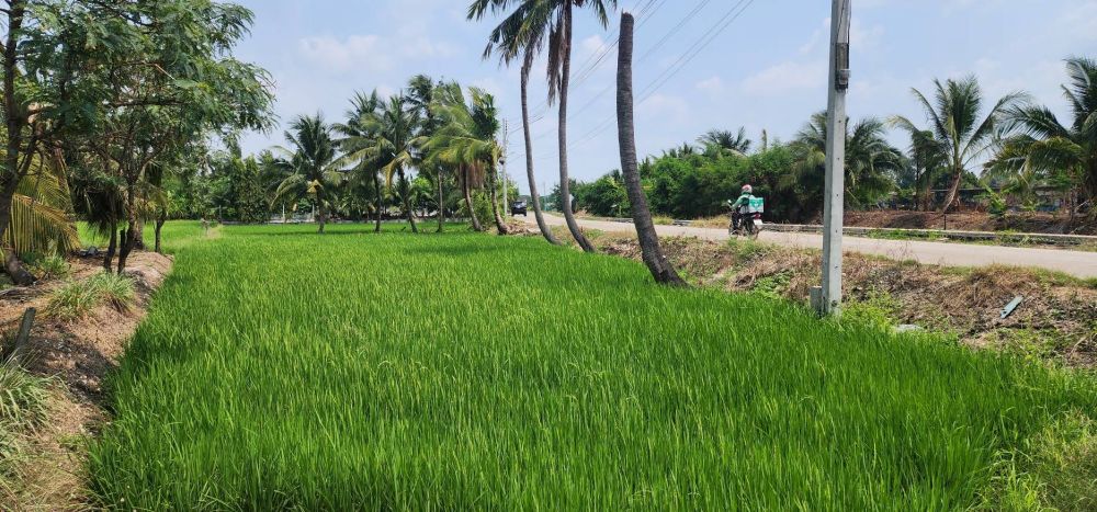 ขายที่ดินทำเลศักยภาพ พุทธมณฑลสาย 5 สามพราน นครปฐม 1-0-47 ไร่