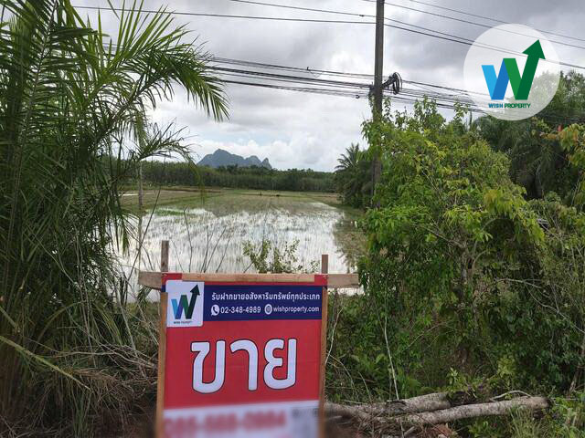 ขายที่ดิน ต.มะกอก เหนือ พัทลุง ใกล้ทะเลน้อย ทะเลสาบสงขลา 7 ไร่ 3 ตารางวา