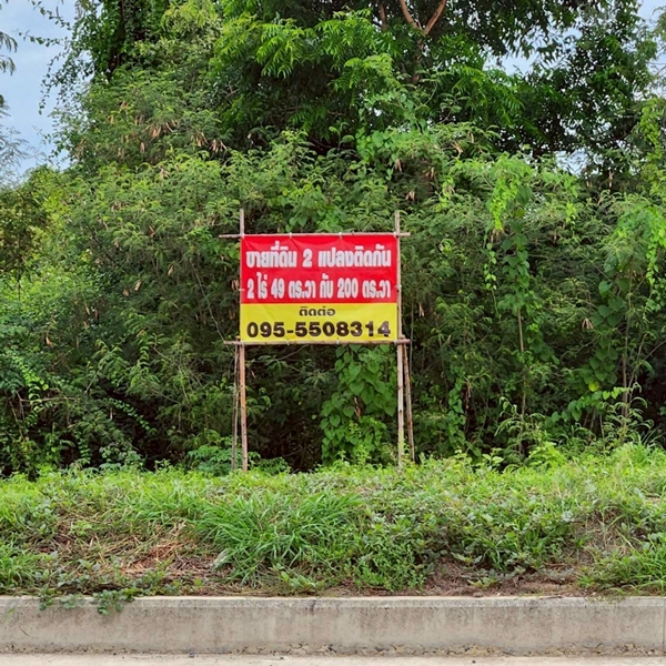 ขายที่ดินถูกมาก!! ติดถนนหลวงภาชี - นครหลวง ทำเลดีมาก