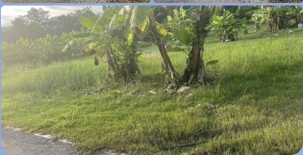 ขายที่ดิน ขายที่ดิน ดอนเจริญ เมืองนครนายก 200 ตร.ว. ติดถนน มีน้ำ มีไฟ พร้อม ไลน์ korn6655