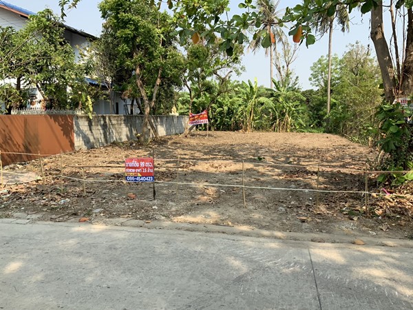 ขายที่ดิน ขายที่ดิน บางใหญ่ ใกล้รถไฟฟ้า 99 วา 2.1 ล้าน 0864540423