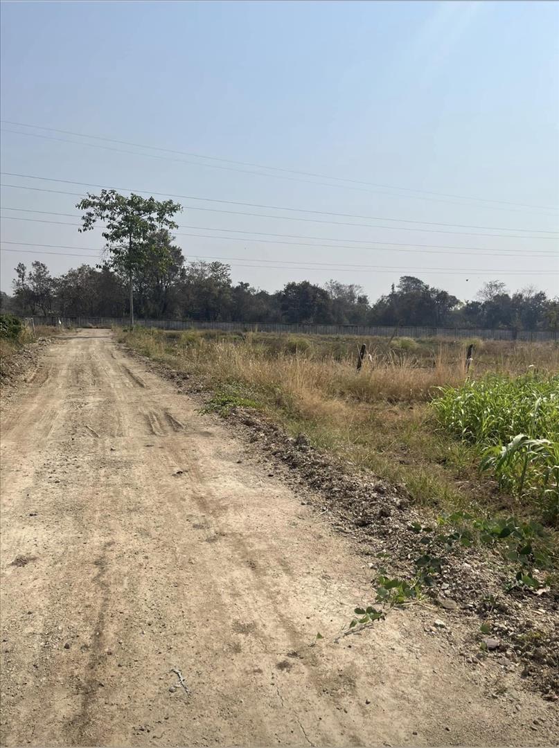 ขายที่ดิน 15 ไร่ ทำเลดี ติดกองบิน 4 ตาคลี เข้า ออกสะดวก น้ำไม่ท่วม