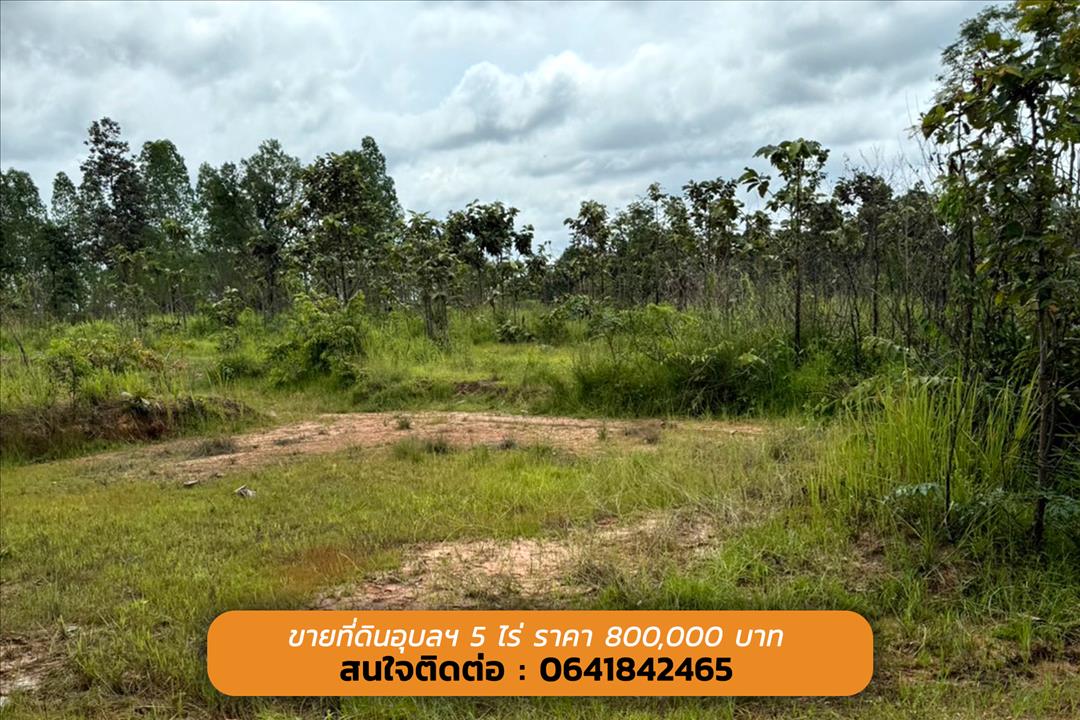 ขายที่ดินอุบลราชธานี