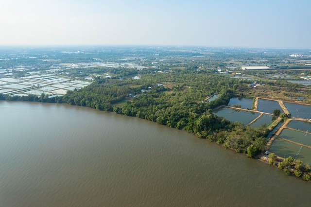 ขายที่ดิน ติดแม่น้ำบางปะกง เนื้อที่ 18 ไร่ 2 งาน 39 ตารางวา ตั้งอยู่ที่ ต.บางกรูด อ.บ้านโพธิ์ จ.ฉะเช