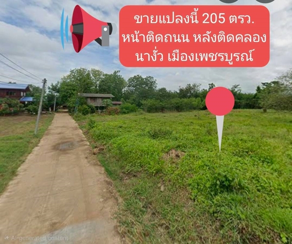 ขายที่ดิน 205.9 ตรว. นางั่ว เมืองเพชรบูรณ์