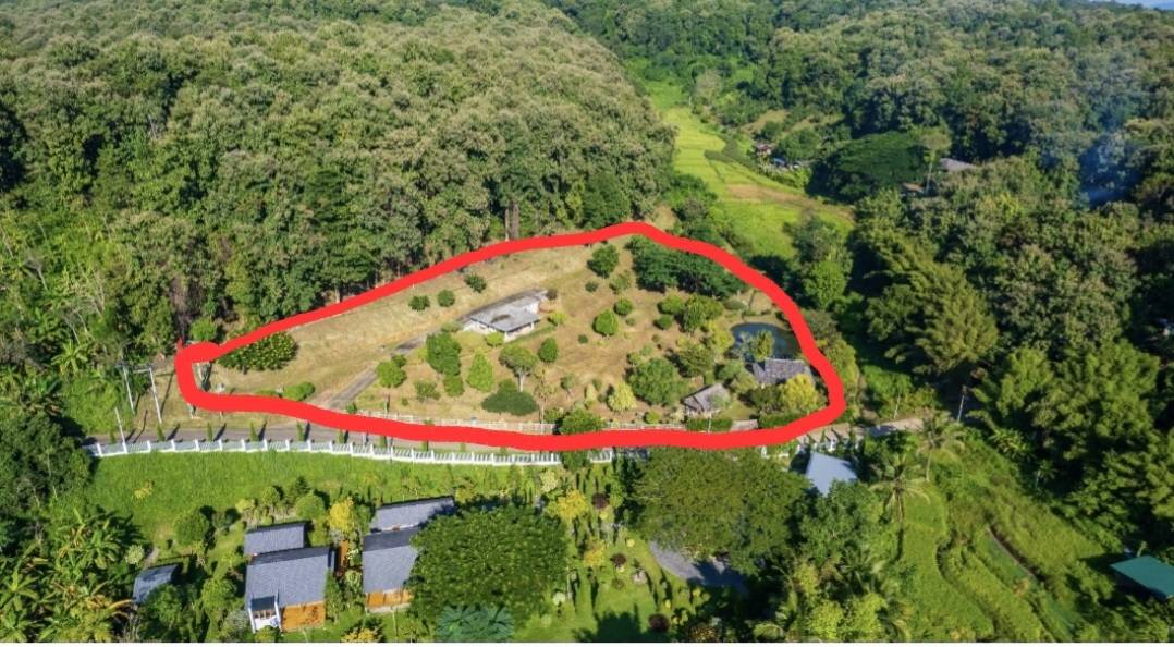 ขายที่ดินพร้อมสิ่งปลูกสร้าง ต.แม่แรม อ.แม่ริม เชียงใหม่