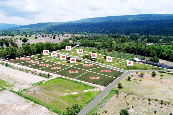  ที่ดินสวย วิวเขาวังทอง 200 ตร.วา  ราคาดีที่สุด 299,000 บาท  097 446 4446