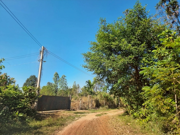 R042-003 ขายถูก ราคาใกล้เคียงราคาประเมินที่ดิน ที่ดิน 24 ไร่ 59 ตรว ต.ท่าช้าง อ.เมือง จ.อุบลราชธานี 