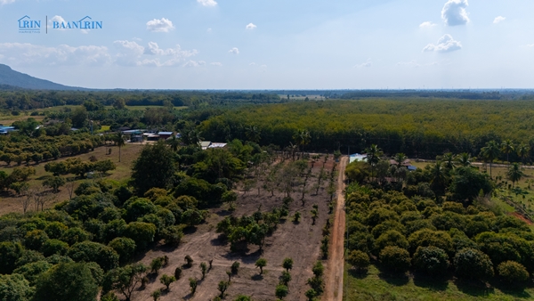 ขายที่ดินเปล่า พร้อมสวนมะม่วง 180 ตร.ว. / 199,999 บ.  097 446 4446