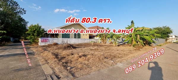 ขายที่ดิน ถมแล้ว 80 ตรว. ซอยเทศบาล 30/8 ต.หนองม่วง อ.หนองม่วง จ.ลพบุรี