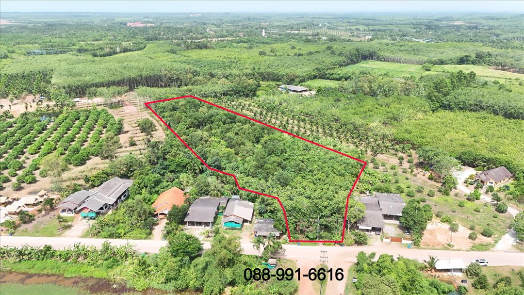 ขายที่ดิน 8 ไร่ 192 ตารางวา พังราด ติดถนน มีโฉนด เจ้าของขายเอง