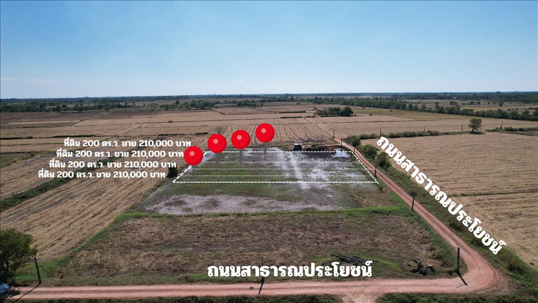 ที่ดิน 200 ตารางวา มีโฉนด ปากพลี ขาย 210000 บาท