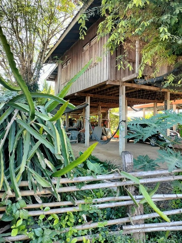 ขายบ้าน ขายด่วน! (บ้าน 2 ชั้น/ใต้ถุนโล่ง) พร้อมที่ดิน ติดถนนดำ อำเภอลาดยาว นครสวรรค์ โทร 092-6869618