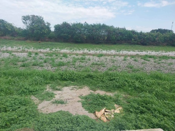 ขายที่ดิน ขายด่วน! ลดกระหน่ำ ถูกสุดๆ ขายที่ดินราคาพิเศษ อ.บางเสาธง จ.สมุทรปราการ สวย ทำเลดี Tel. 092-6869618