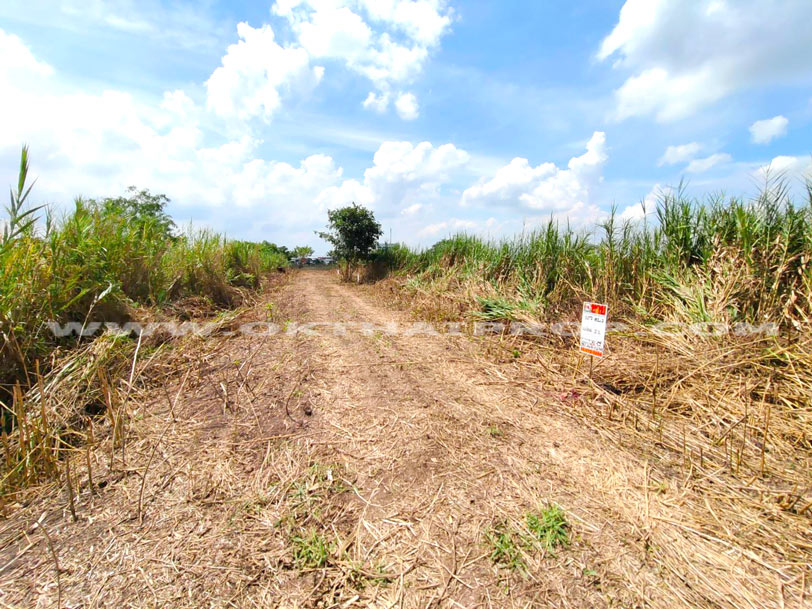 ที่ดินจัดสรรล็อคที่ 21 อยู่ฝั่งขวามือ ถนน 346 ลาดหลุมแก้ว ปทุมธานี