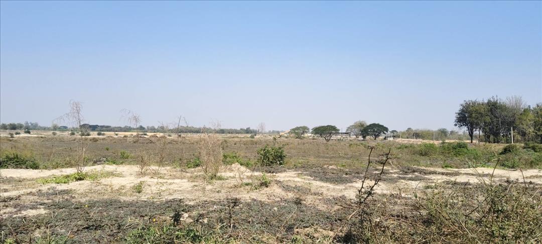 ขายที่ดินนครปฐม หนองดินแดง เนื้อที่14ไร่3งาน ที่ดินเป็นที่บ่อทราย 