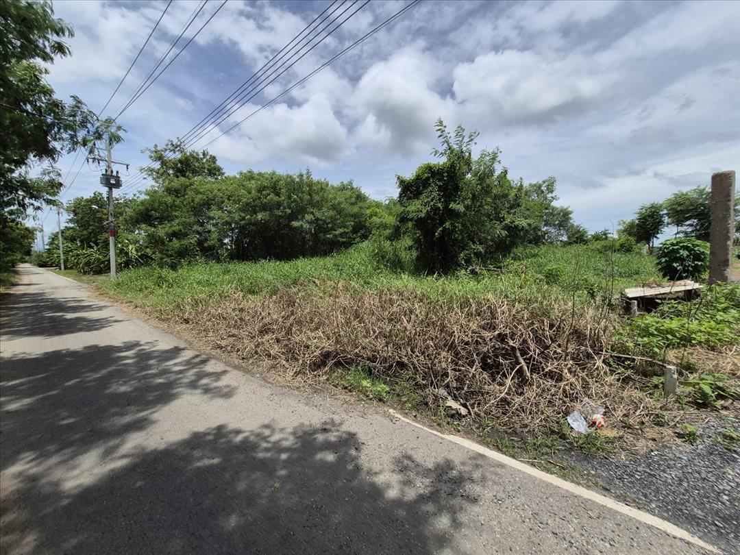 ขายที่ดินถมแล้ว 96 ตรว. ใกล้วัดสมานรัตนาราม ต.บางแก้ว อ.เมือง จ.ฉะเชิงเทรา