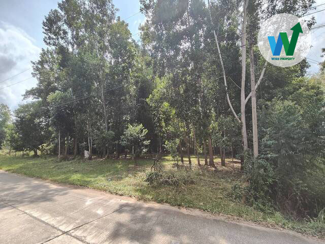 ที่ดินใกล้ถนนบายพาสสายมหาลัยทักษินวิทยาเขตพัทลุง