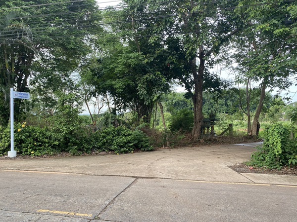 ขายที่ดิน ขาย!!! ที่ดินสวย ทำเลศักยภาพ ใจกลางเมือง..หลังค่ายตากสิน..เนื้อที่ 14 ไร่เศษ โทร 092-5635533