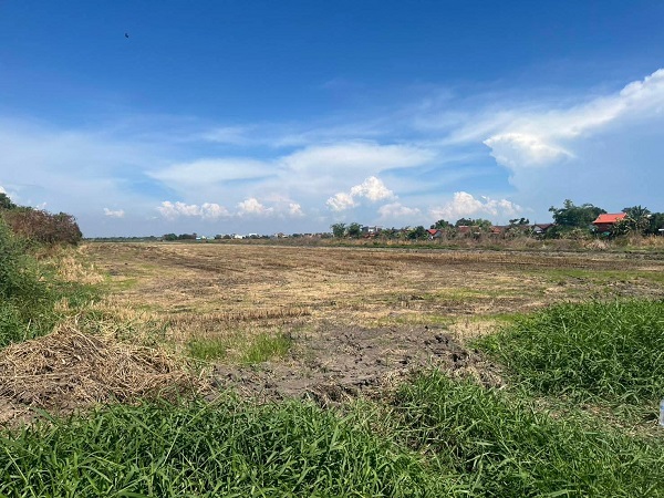 ขายที่ดินลาดกระบัง เนื้อที่50-3-79ไร่บนทำเลศักยภาพย่านถนนคุ้มเกล้า  นำเสนอสำหรับนักลงทุนและ Develope