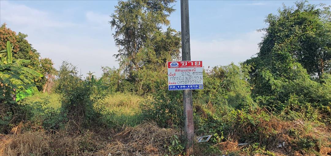 ที่ดินคลองโยง นครปฐม