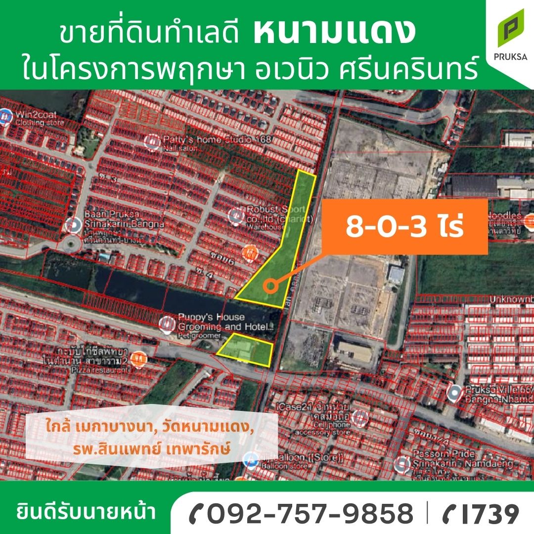 ขายที่ดิน ทำเลดี พร้อมโอน ในโครงการพฤกษา อเวนิว ศรีนครินทร์ รหัสทรัพย์ B38