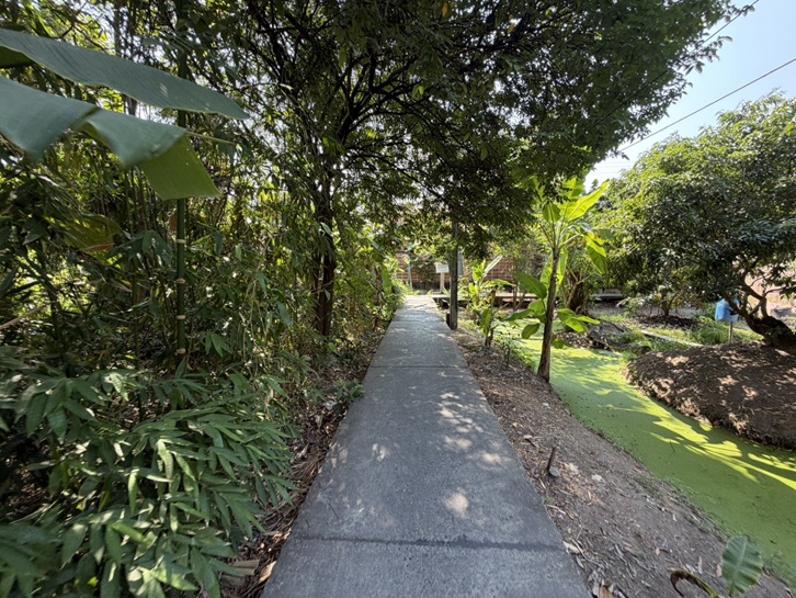 ที่ดินเปล่า