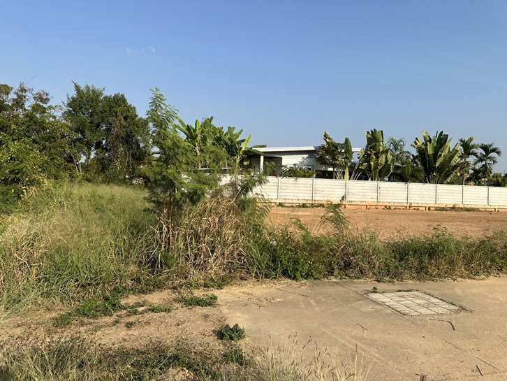 ที่ดินเปล่า