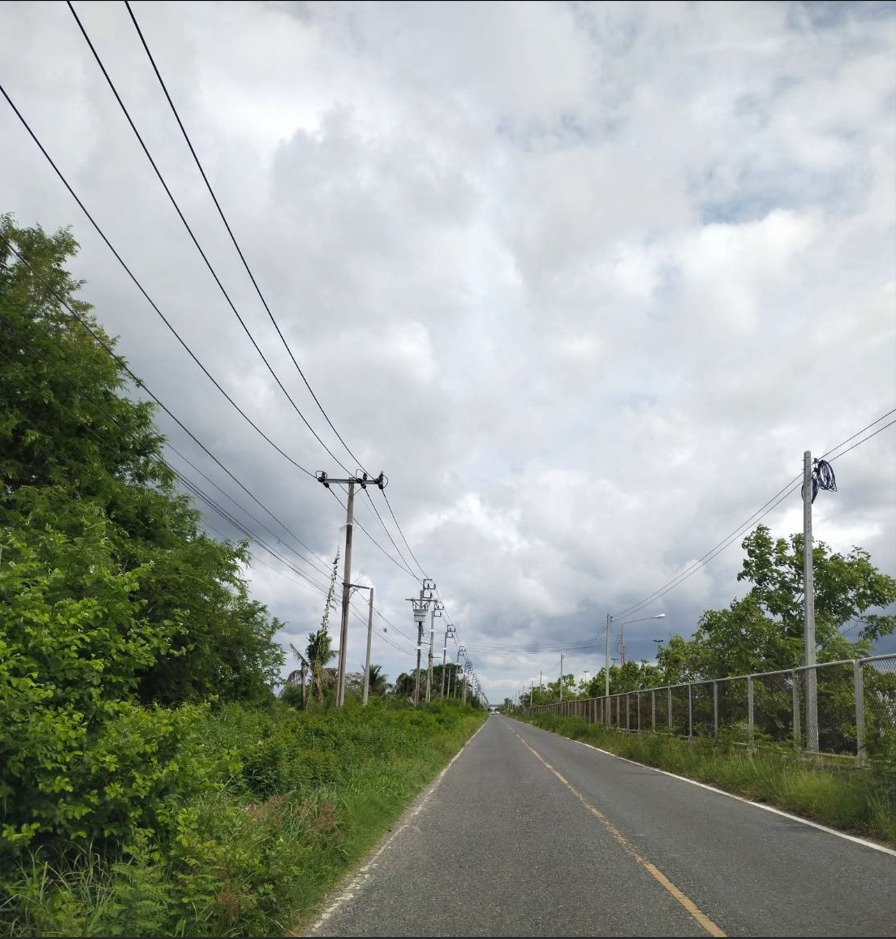 ขายที่สีม่วงถมแล้ว  37  ไร่ สร้างโรงงาน,โกดัง ต.บางนาง อ.พานทอง จ.ชลบุรี