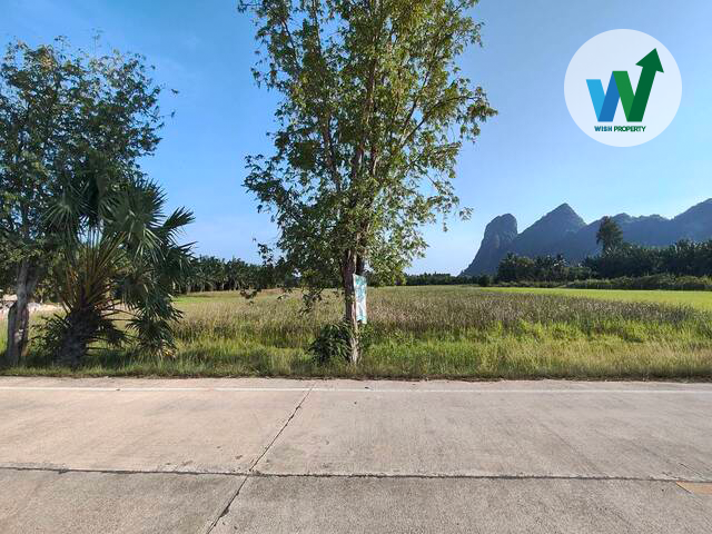 ขายที่ดินใกล้ถ้ำน้ำลอดเขาแดง จ.พัทลุง