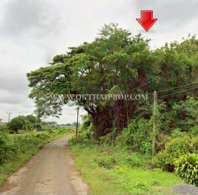 ขายที่ดินพร้อมต้นสัก ใกล้อบต.สร้อยทอง อ.ตาคลี จ.นครสวรรค์