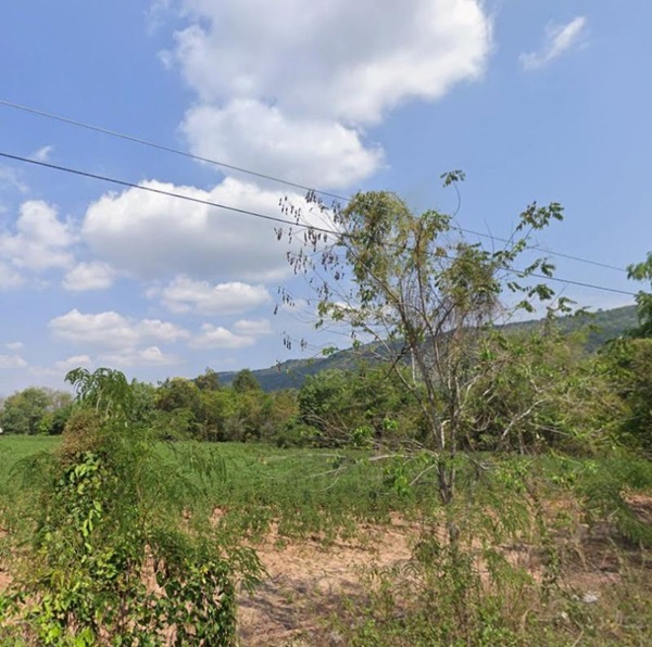 ขายที่ดิน ขายด่วน ที่ดินแปลงใหญ่ 42 ไร่ วิวเขาสวย กบินทร์บุรี จ.ปราจีนบุรี ทำเลดี โทร 066-112-0133