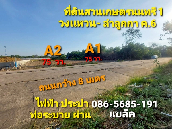 ขายที่ดิน 75 ตรว. ลำลูกกา คลอง 6  เกษตรนนทรี 1 ใกล้ทางด่วน 