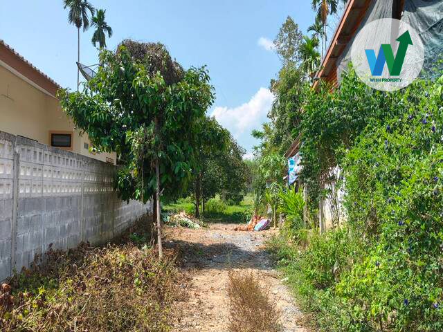 ขายที่ดิน ทางหลวงชนบทบ้านลานช้าง-บ้านน้ำตกไพรวัลย์